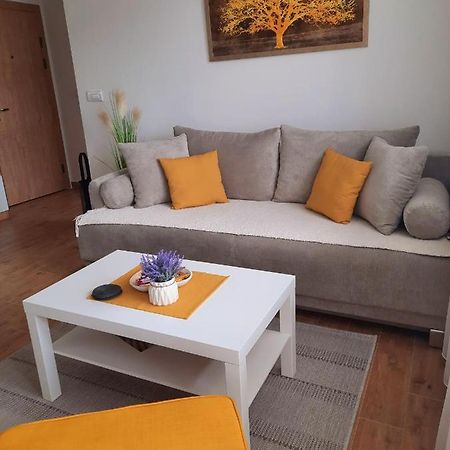Bankovic Apartman Vrnjacka Banja Luaran gambar