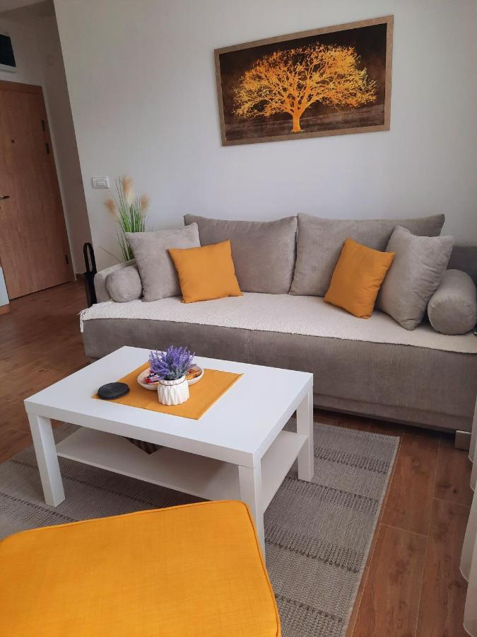 Bankovic Apartman Vrnjacka Banja Luaran gambar