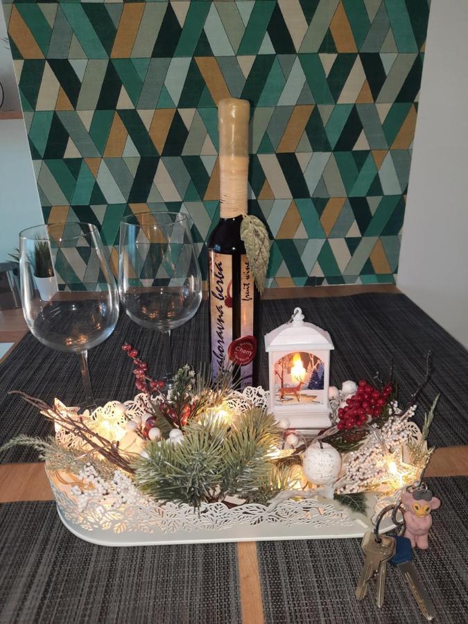 Bankovic Apartman Vrnjacka Banja Luaran gambar
