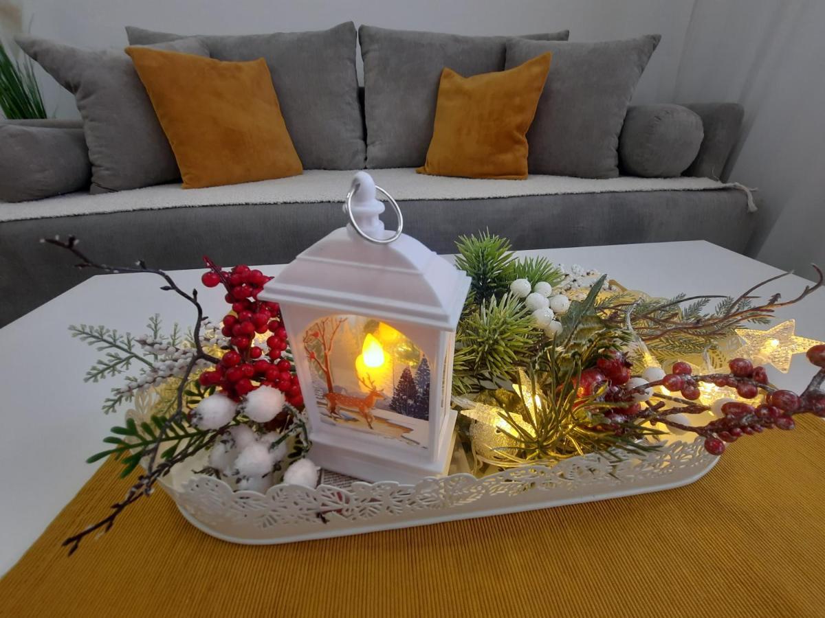 Bankovic Apartman Vrnjacka Banja Luaran gambar
